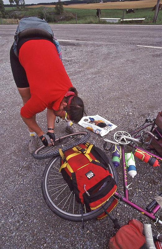 WT 3300 370-33 Norway.jpg